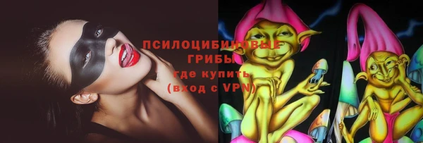 шишки Аркадак