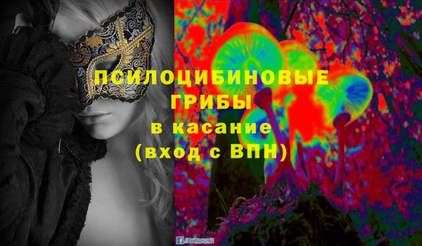 трава Арсеньев