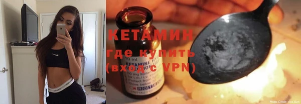 шишки Аркадак