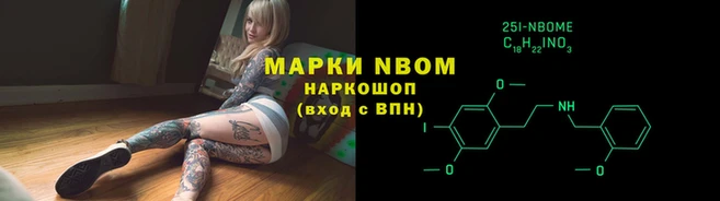 шишки Аркадак