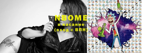 шишки Аркадак