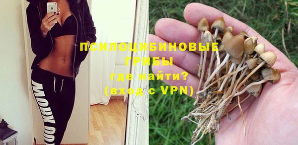 шишки Аркадак
