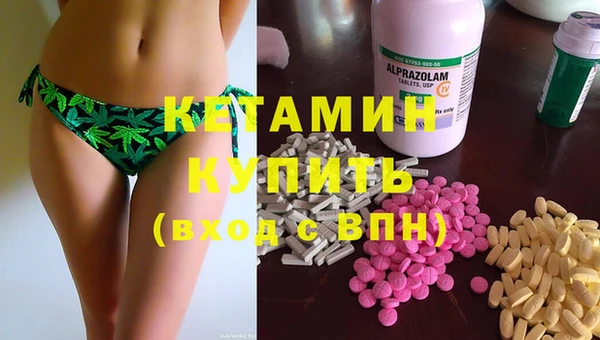 шишки Аркадак