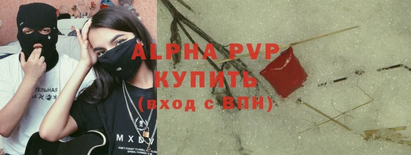 шишки Аркадак