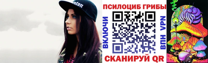 Галлюциногенные грибы Psilocybe  купить наркотик  Байкальск 